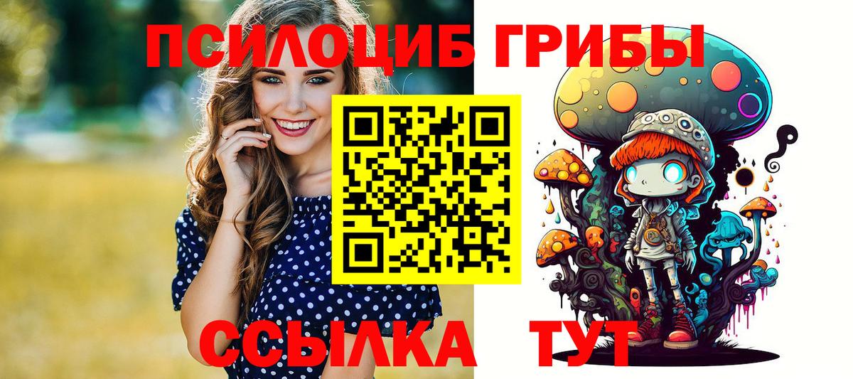 Галлюциногенные грибы прущие грибы Сергиев Посад