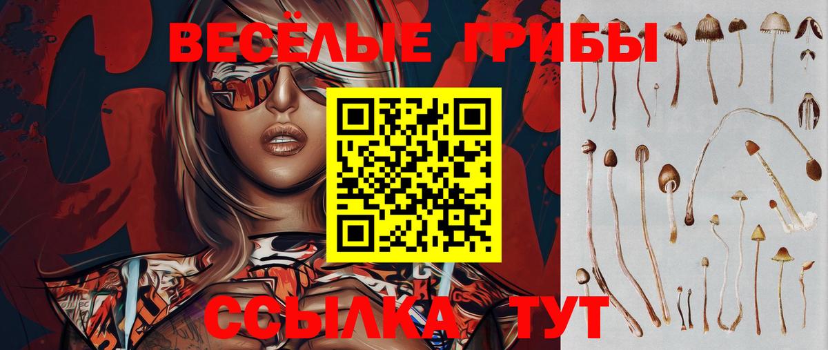 Псилоцибиновые грибы GOLDEN TEACHER  купить наркоту  Сергиев Посад  Вход с VPN  Псилоцибиновые грибы мицелий 